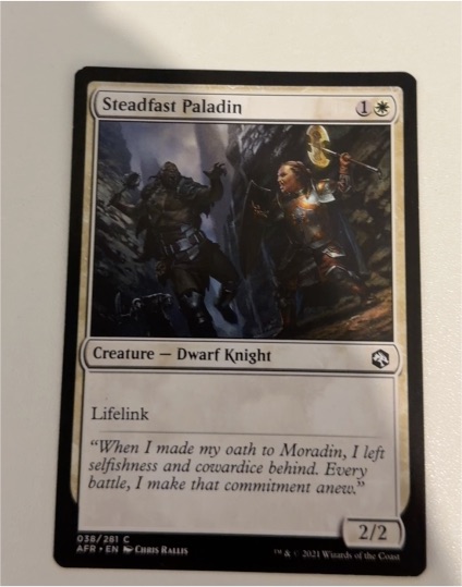 2021 Wizards of the Coast Adventures in the Forgotten Realms #038 Steadfast Paladin — front
