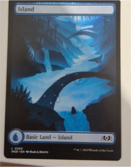 2023 Magic: The Gathering #263 Island Wilds of Eldraine — front