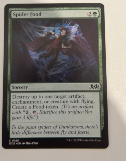 2023 Wilds of Eldraine #186 Spider Food — front