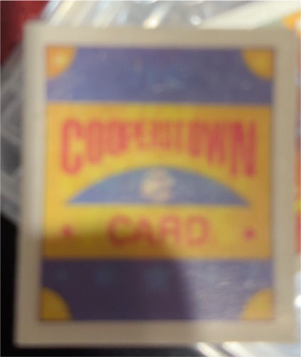 1989 Sportflics Cooperstown Card — front