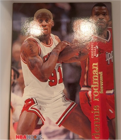 1995-96 NBA Hoops #298 Dennis Rodman — front