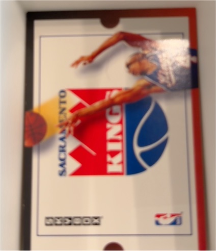 1992-93 Skybox #304 Spud Webb Sacramento Kings — front
