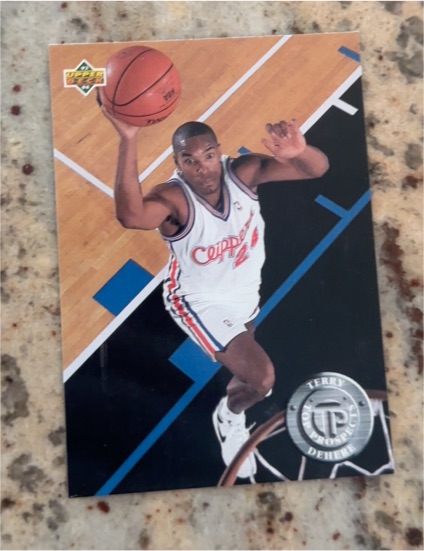 1993-94 Upper Deck #494 Terry Dehere — front