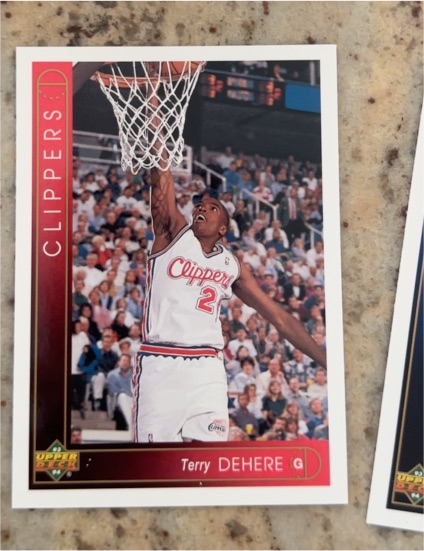 1993-94 Upper Deck #335 Terry Dehere — front