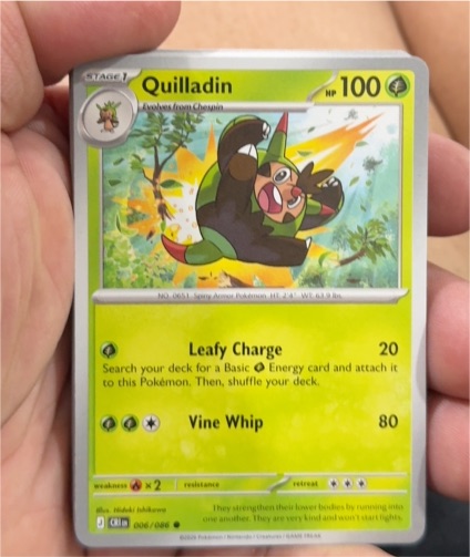 Pokémon TCG XY 006 Quilladin — front