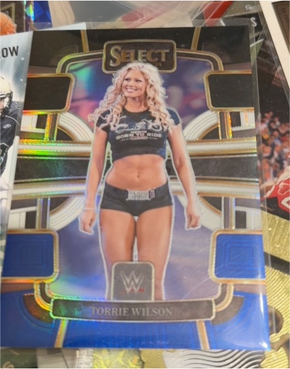 2024 Panini Select WWE #75 Torrie Wilson — front