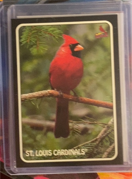 2024 Topps Heritage #75Z-4 St. Louis Cardinals 1975 Zoo's Who Stick-Ons — front