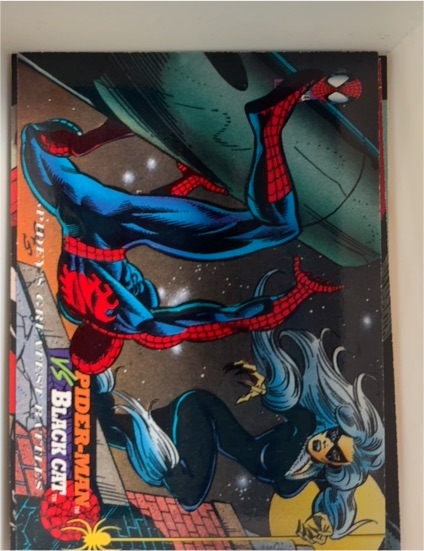 1994 Fleer Amazing Spider-Man #115 Spider-Man vs Black Cat — front
