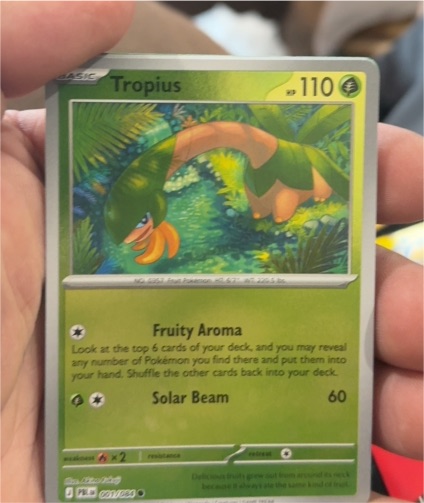 Tropius 001/084 Paldean Fates 2023 English Basic 110 HP — front