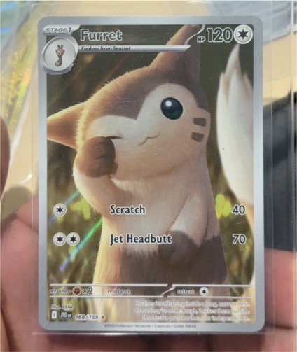 2025 Pokémon SV09: Journey Together #168/159 Furret — front