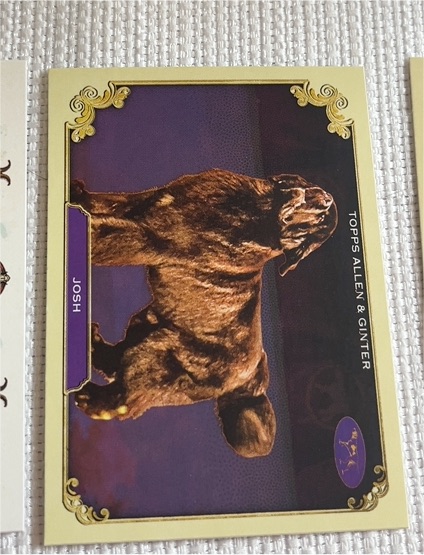 2024 Topps Allen & Ginter #SOS-24 Josh Stars of the Show — front