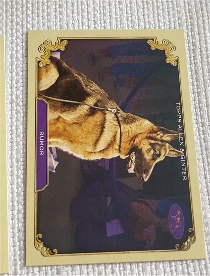 2024 Topps Allen & Ginter Stars of the Show #SOS-16 Rumor — front
