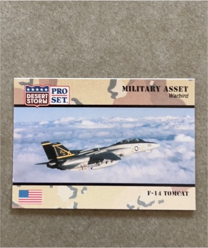 1991 Pro Set Desert Storm #221 F-14 Tomcat — front