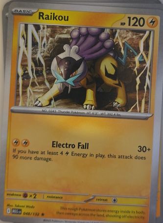 2020 Mega Evolution #048 Raikou — front