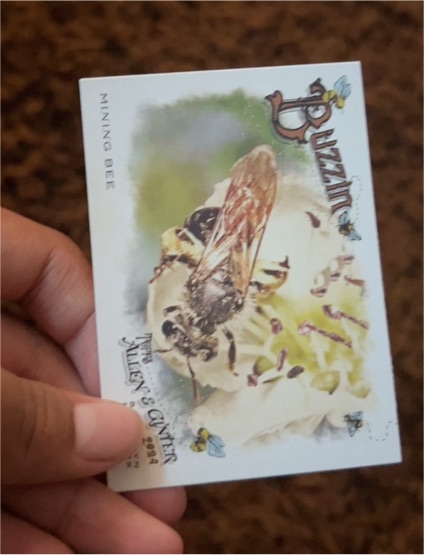 2024 Topps Allen & Ginter Buzzin #BUZ-12 Mining Bee — front