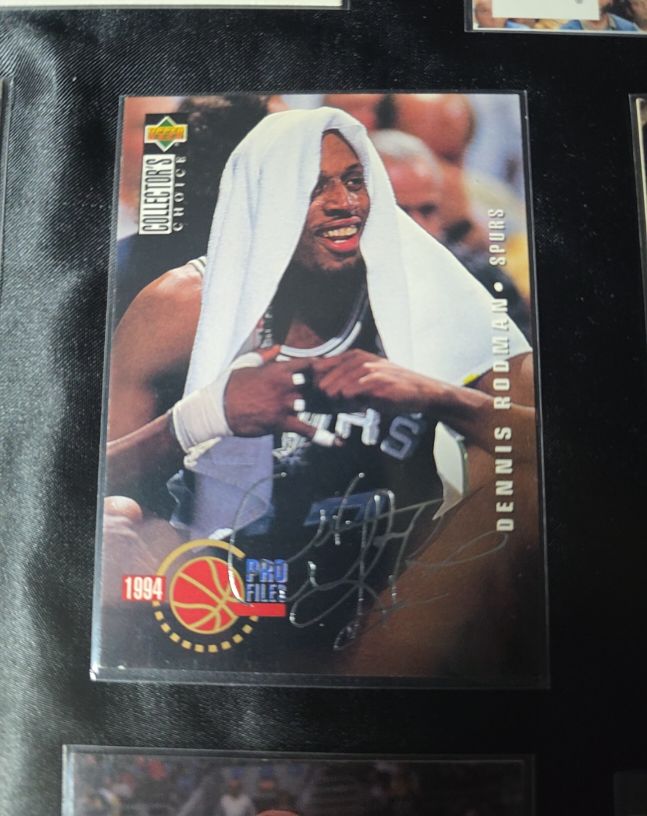 1994 Upper Deck Collector's Choice Pro Files #202 Dennis Rodman — front