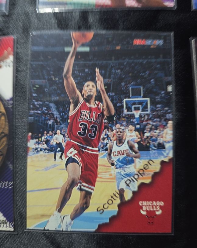 1996-97 SkyBox NBA Hoops #24 Scottie Pippen — front
