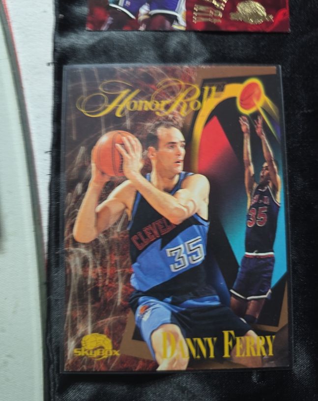 1995-96 SkyBox Premium #252 Danny Ferry — front