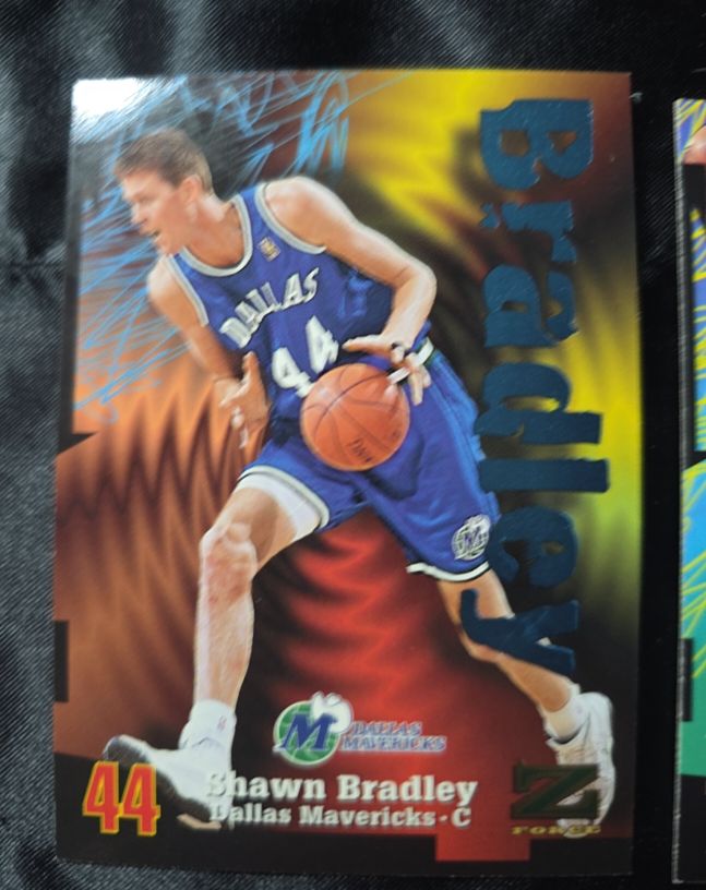 1997-98 Skybox Z-Force #76 Shawn Bradley — front