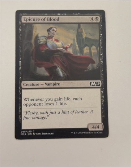 2019 Magic: The Gathering #95 Epicure of Blood — front