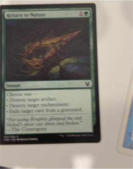 2021 Magic: The Gathering #195 Return to Nature — front