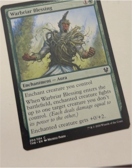 2020 Magic: The Gathering #204 Warbriar Blessing — front