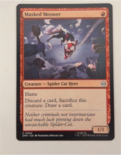 2025 Magic: The Gathering #0082 Masked Meower — front