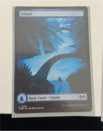 2023 Magic: The Gathering Wilds of Eldraine #263 Island — front