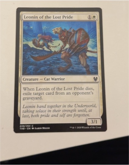 2020 Magic: The Gathering #028 Leonin of the Lost Pride — front