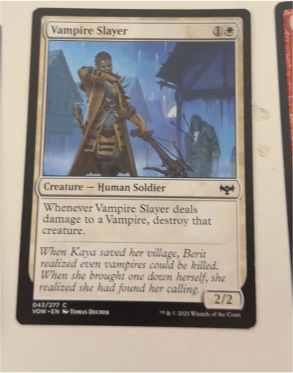 2022 Innistrad: Crimson Vow #43 Vampire Slayer — front