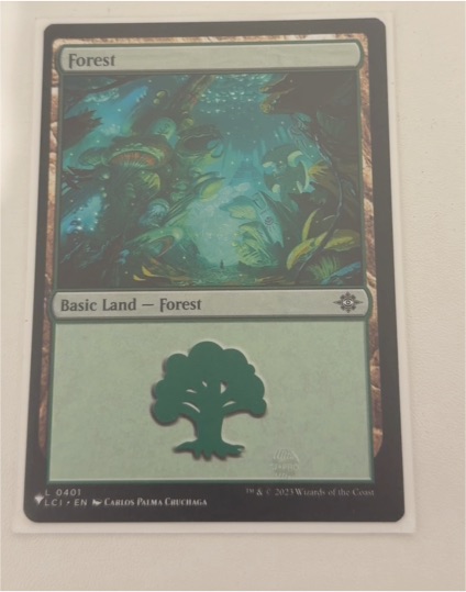 2023 Magic: The Gathering #0401 Forest — front