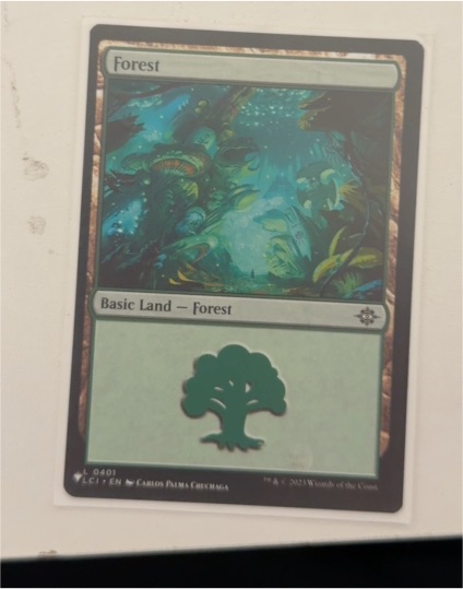 2021 Magic: The Gathering #0401 Forest — front