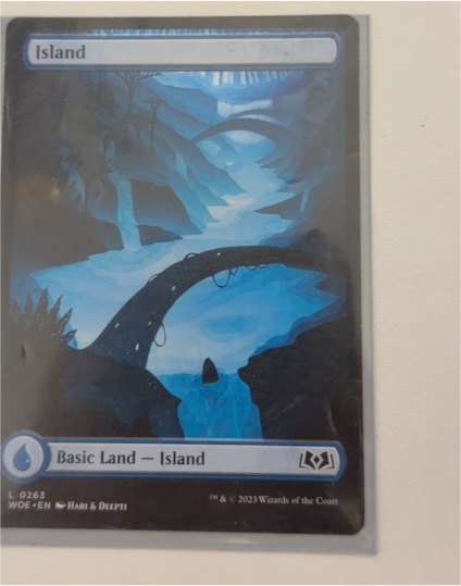 2023 Magic: The Gathering #263 Island Wilds of Eldraine — front