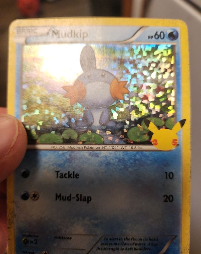 2014 Pokémon XY #XY38 Mudkip — front