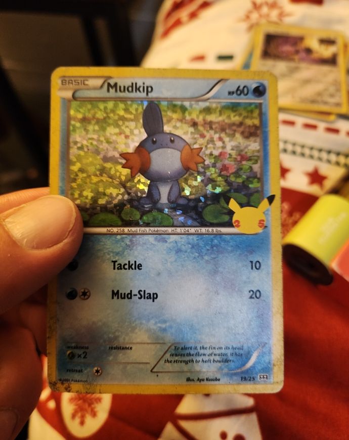 2021 Pokémon 25th Anniversary #19 Mudkip — front