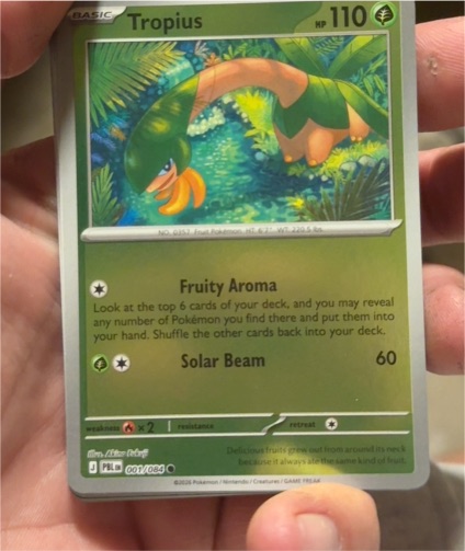 2026 Pokémon TCG ME05: Pitch Black #001 Tropius — front