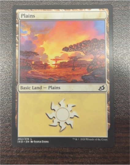 2020 Magic: The Gathering #262 Plains — front