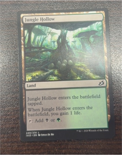 2020 Magic: The Gathering #249 Jungle Hollow — front