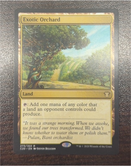 2020 Magic: The Gathering #242 Exotic Orchard — front