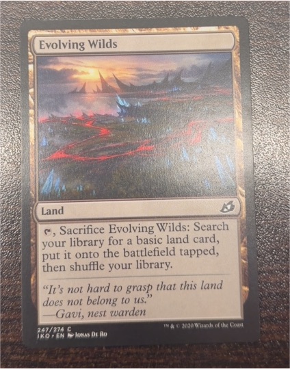 2020 Magic: The Gathering Ikoria: Lair of Behemoths #247 Evolving Wilds — front