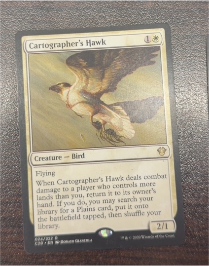 2020 Magic: The Gathering Commander 2020 #024 Cartographer's Hawk — front
