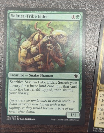 2020 Magic: The Gathering #187 Sakura-Tribe Elder — front