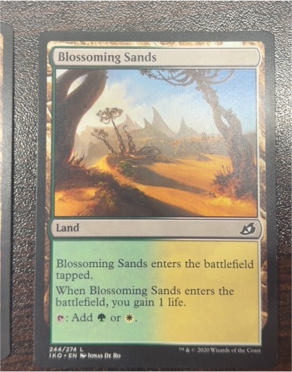 2020 Magic: The Gathering #244 Blossoming Sands — front