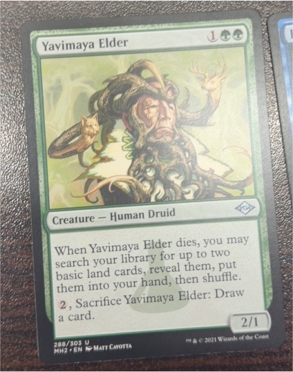 2021 Magic: The Gathering MH2 #288 Yavimaya Elder — front
