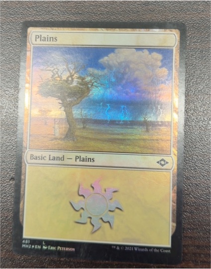 2021 Magic: The Gathering Modern Horizons 2 #481 Plains — front