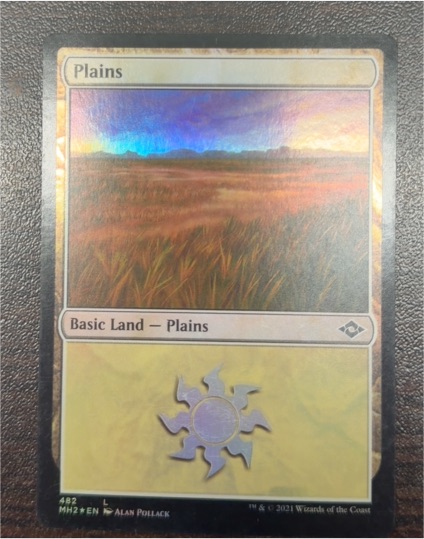 2021 Modern Horizons 2 #482 Plains — front