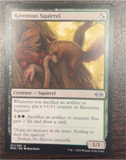 2021 Modern Horizons 2 #211 Ravenous Squirrel — front