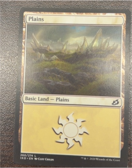 2020 Magic: The Gathering Ikoria: Lair of Behemoths #260 Plains — front