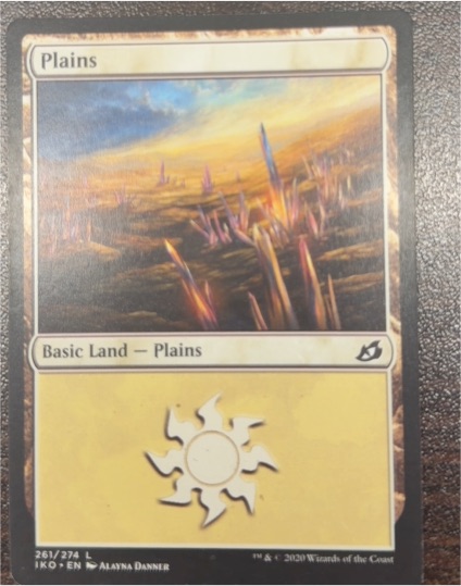 2020 Magic: The Gathering #261 Plains — front