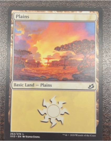 2020 Magic: The Gathering Ikoria Lair of Behemoths #262 Plains — front
